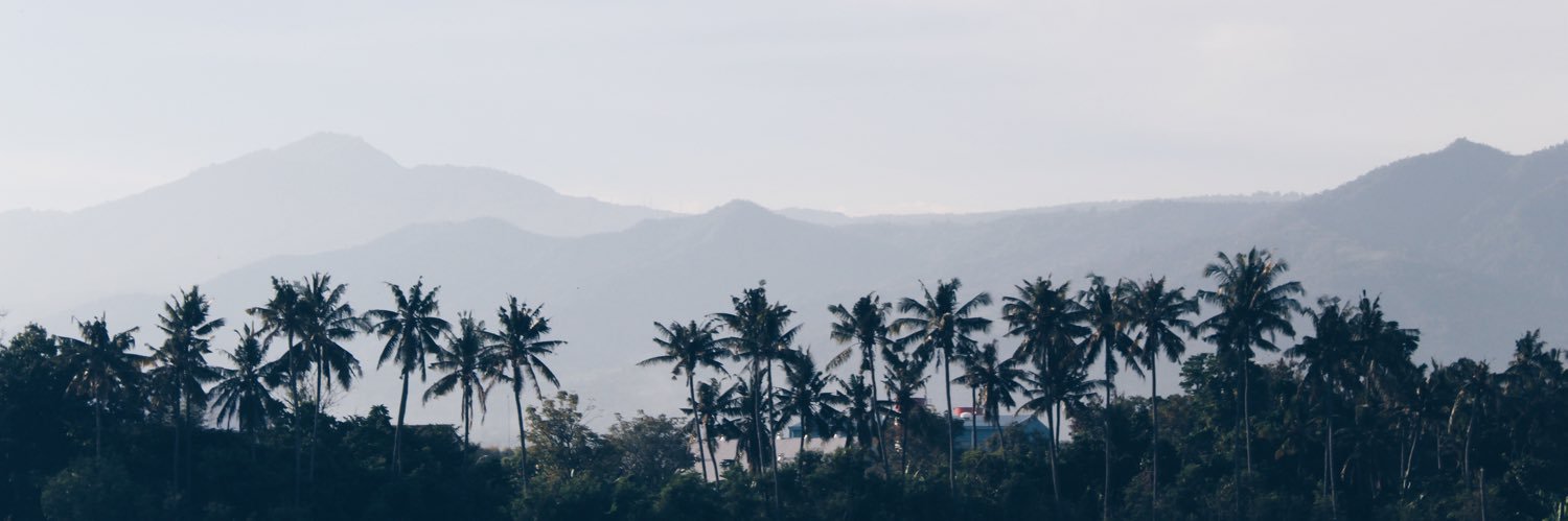 tesselebbes's profile banner image