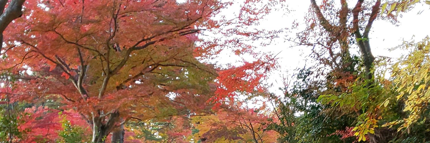 （上）スイカ店長 banner