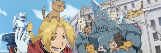 TheJenoker's profile banner image