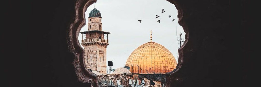 ريّان banner