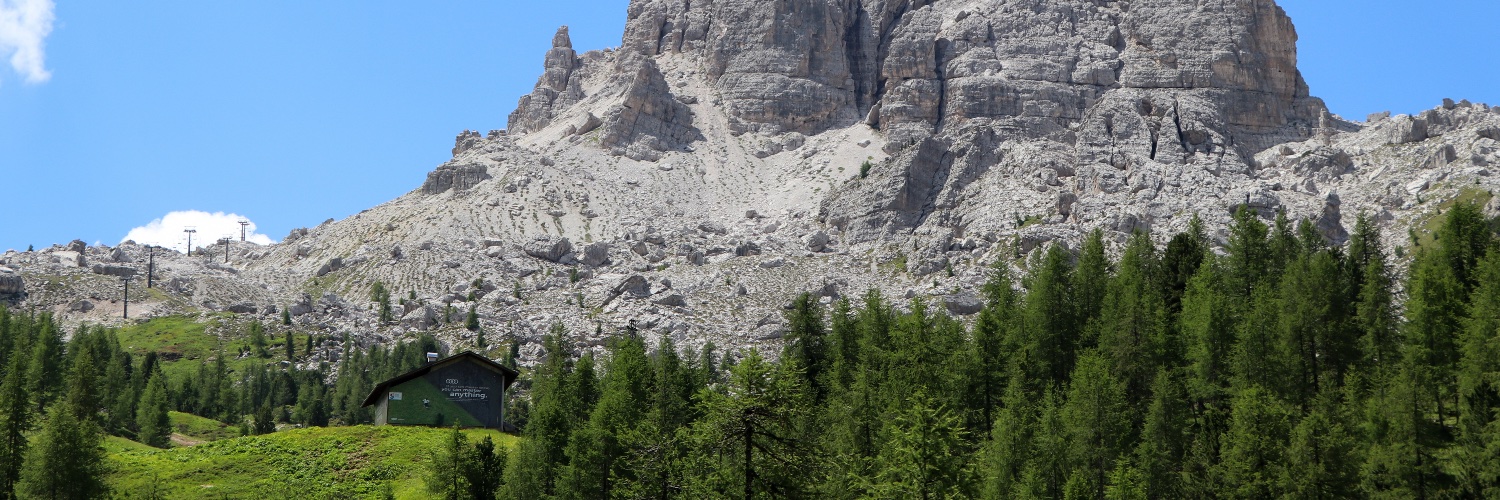 Liam Cappello banner