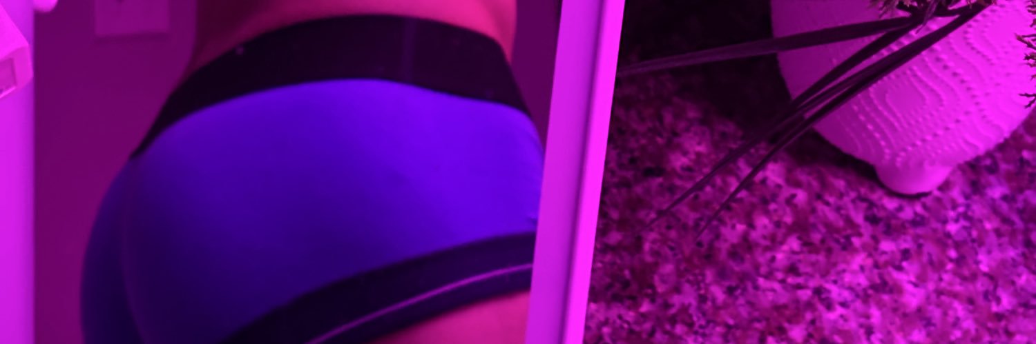 R🎃 banner