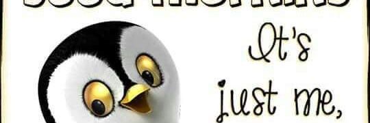 Jaisey Wilson banner