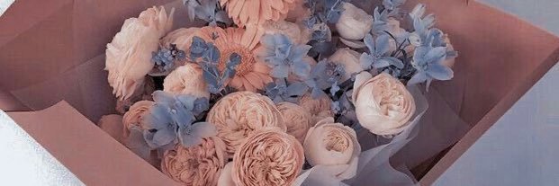 Tierney_Cooke19's profile banner image