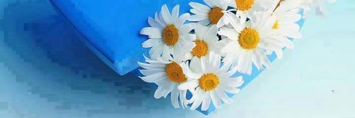 silviabraz's profile banner image