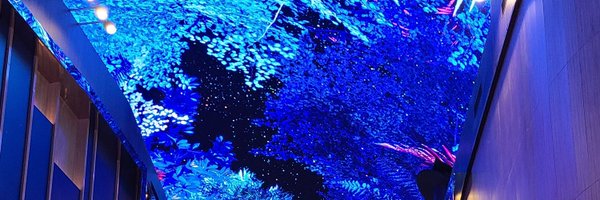 DYKA01 Profile Banner