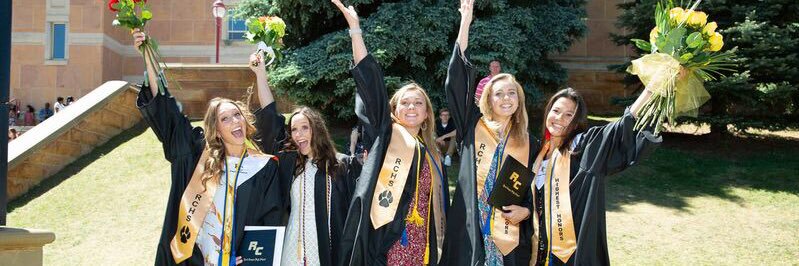 Clara Krause banner