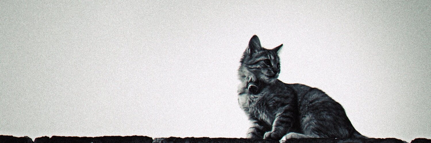 w_carton's profile banner image
