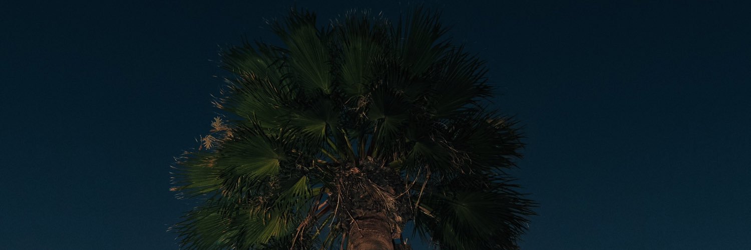 Gabinork101's profile banner image