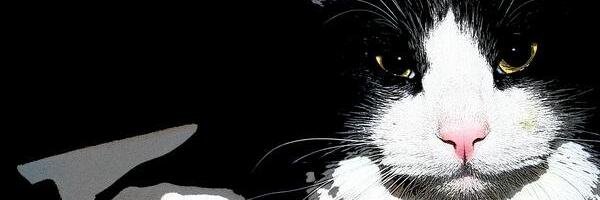 Cheryl Garrett banner