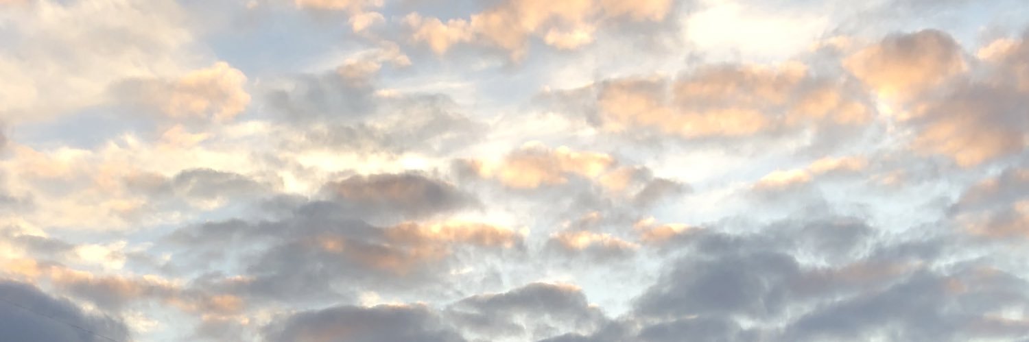 bri_0416's profile banner image