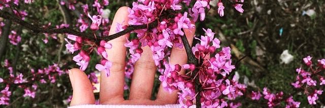 lilireyes07's profile banner image