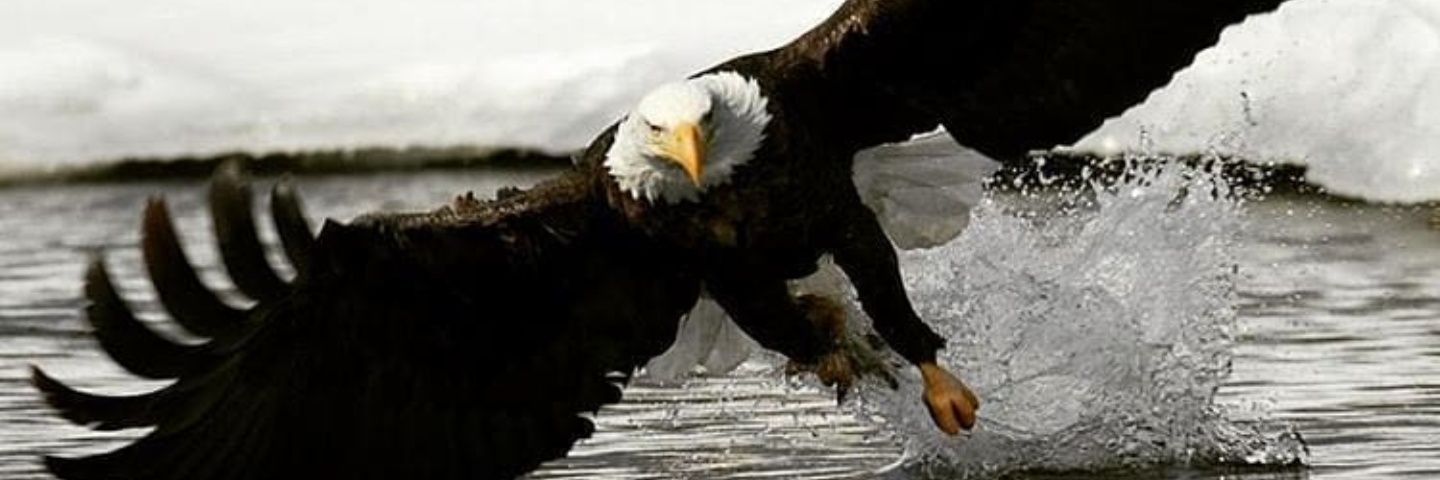 artheand's profile banner image