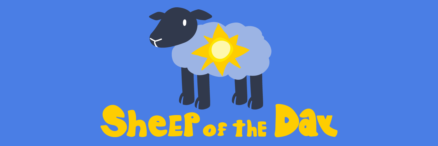 Sheep Of the Day🐑 banner