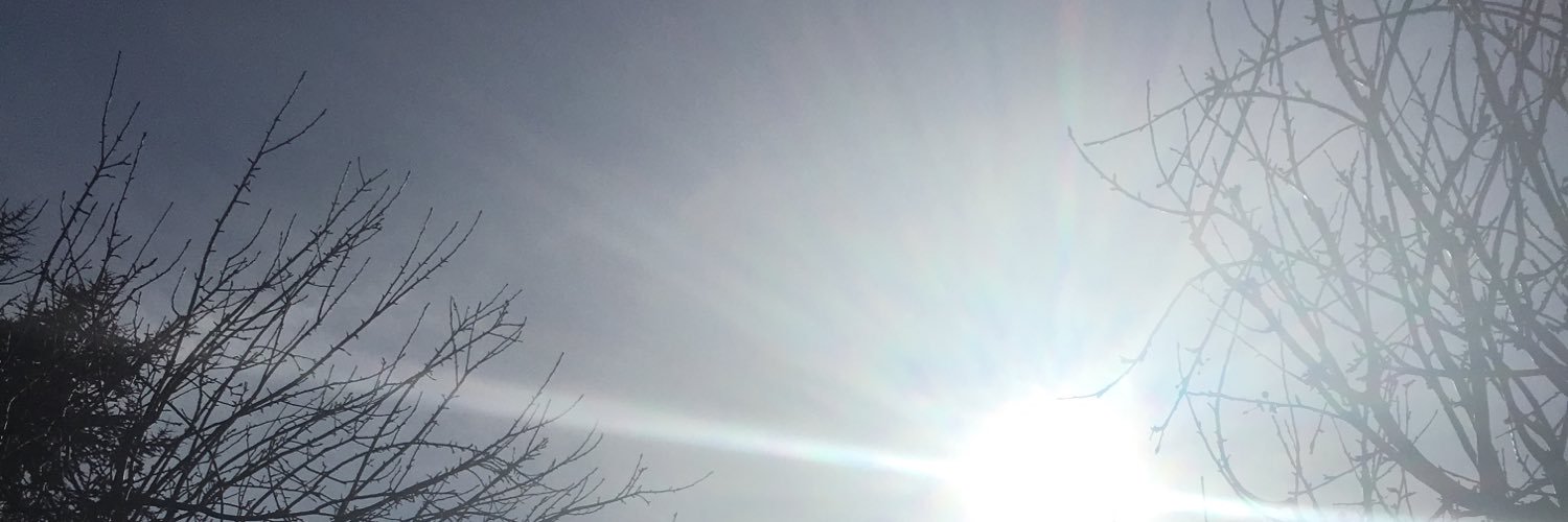 Arsenoia's profile banner image