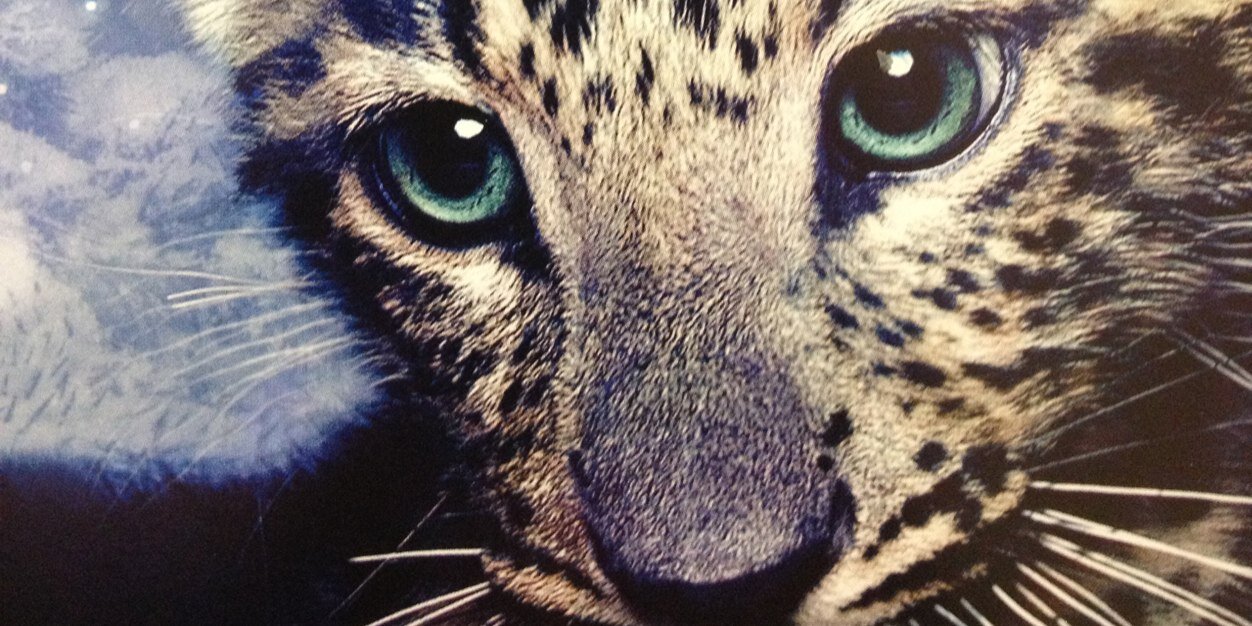 earthwind6's profile banner image