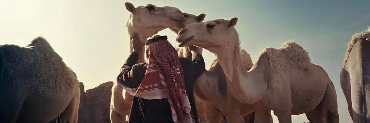 آيلا || Ayla banner