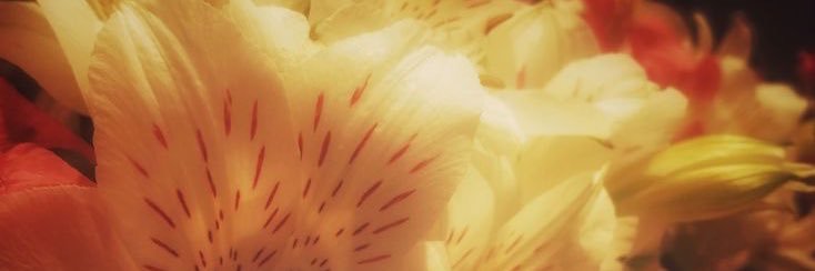 rex 🦞🦞 banner