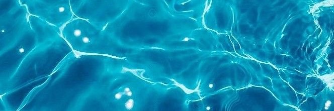 flappyducklin's profile banner image
