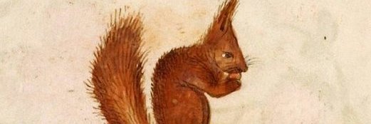 EveningHarold's profile banner image