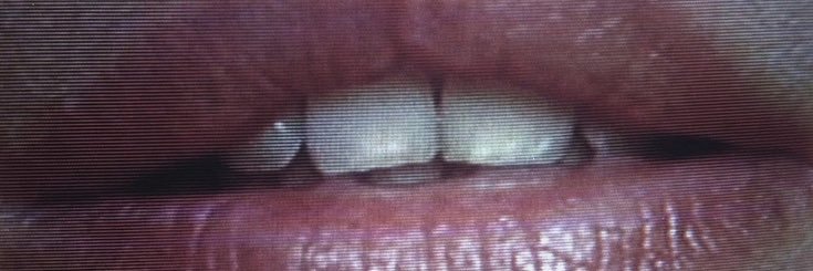 Ktoulou 🦭🦭 banner