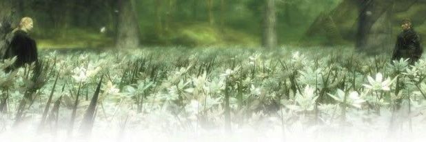 7Dish7's profile banner image