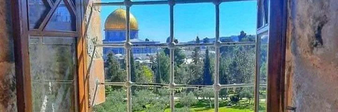 azeezhamoud's profile banner image