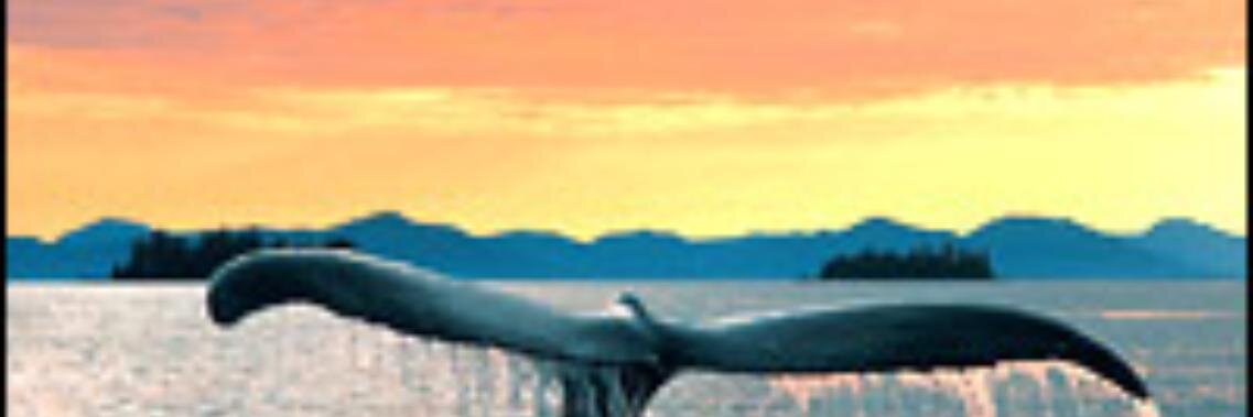 en3temas's profile banner image