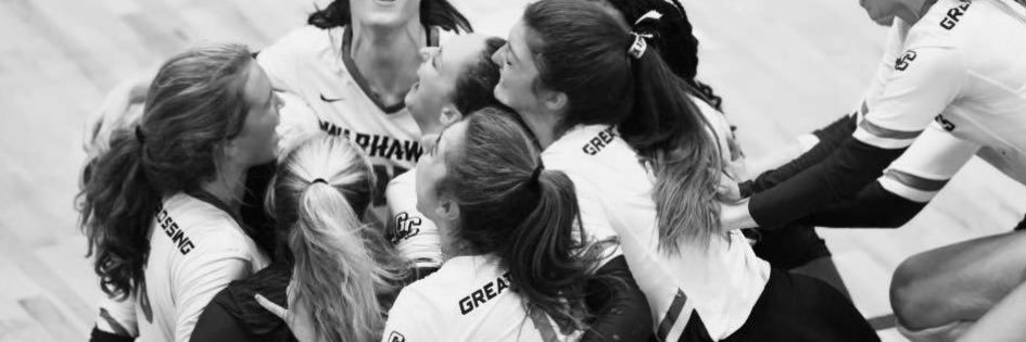 Riley Ellison banner