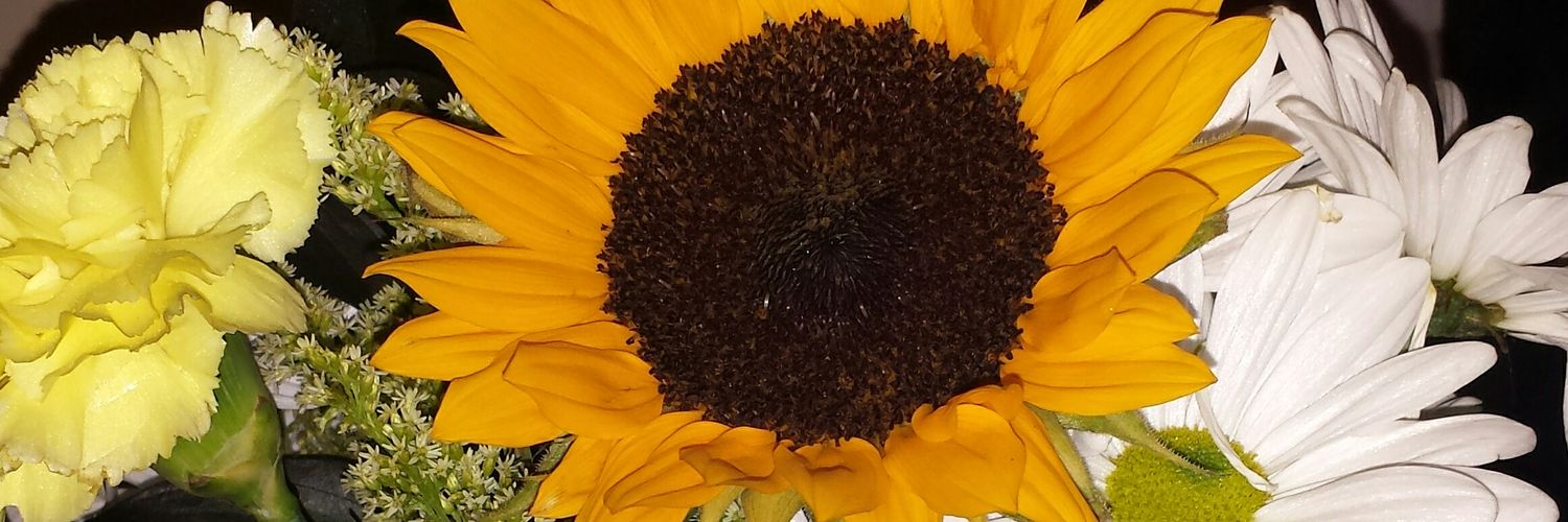 Tinasmom96's profile banner image