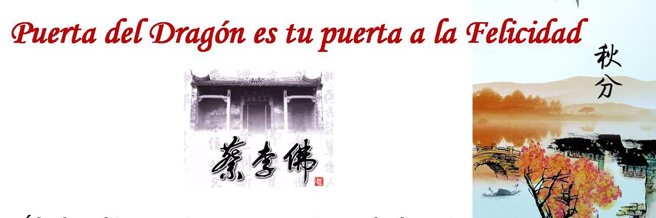 puertadragon's profile banner image