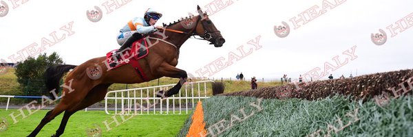 alexharvey2003 Profile Banner