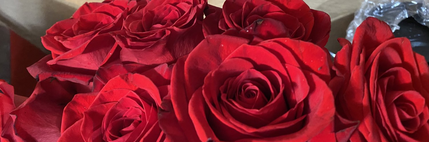 8782mr's profile banner image