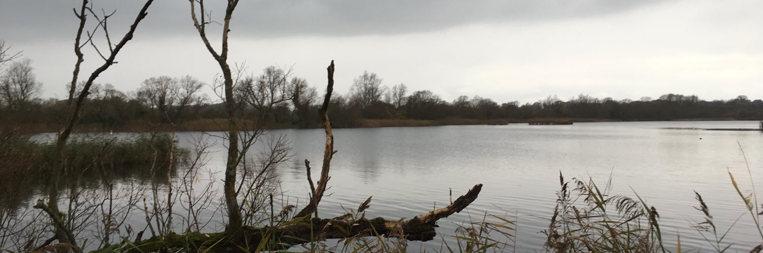 Andrew Kenrick banner