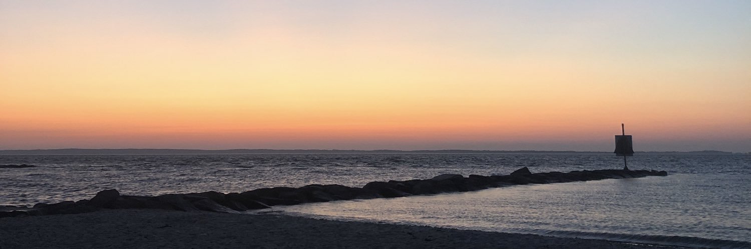 squiiidneyyy's profile banner image