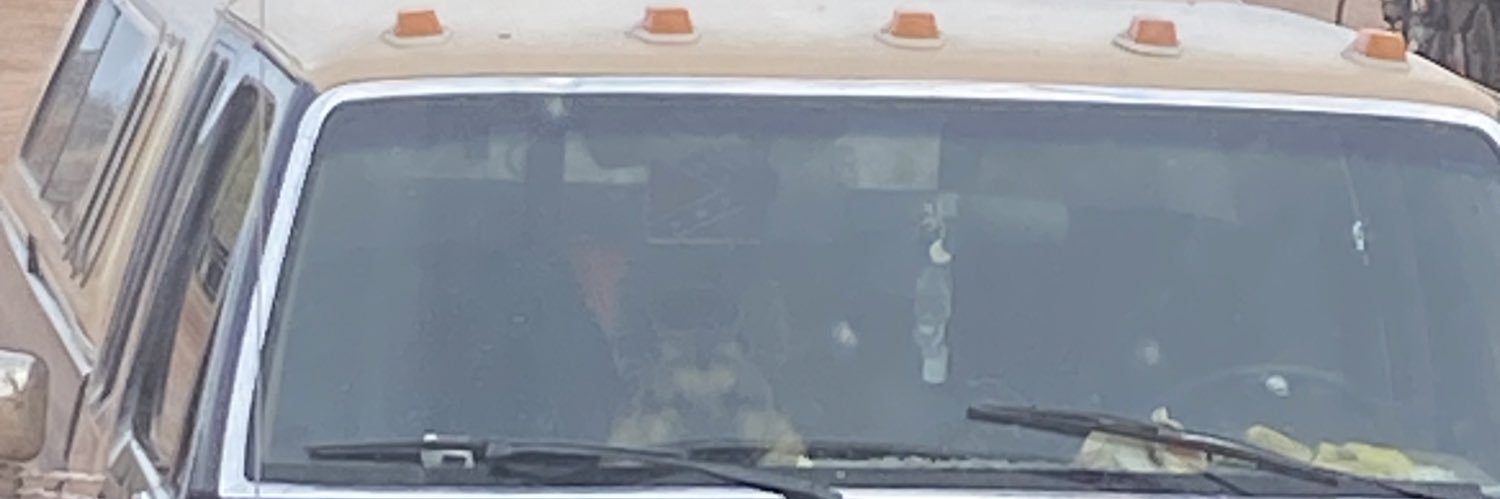 🌲Sigma Tauren 🇱🇹🌲 banner