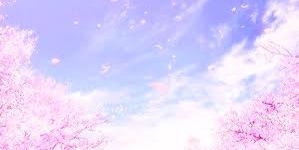 ItsSakuraBetch's profile banner image