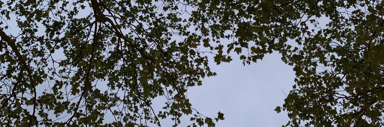 mevlinger's profile banner image