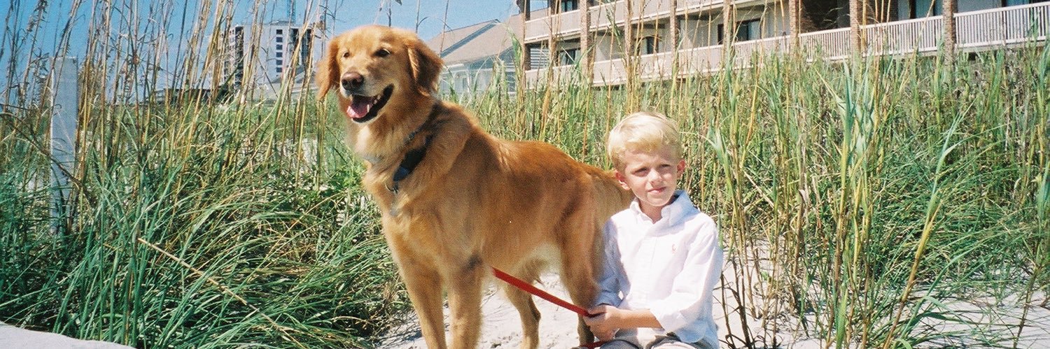 JPaw41's profile banner image