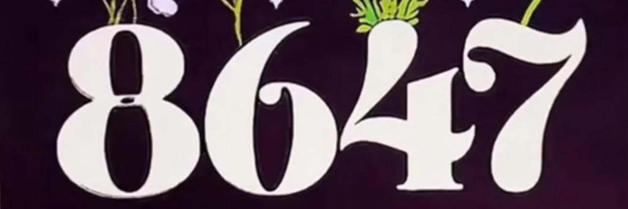 maddygodt's profile banner image