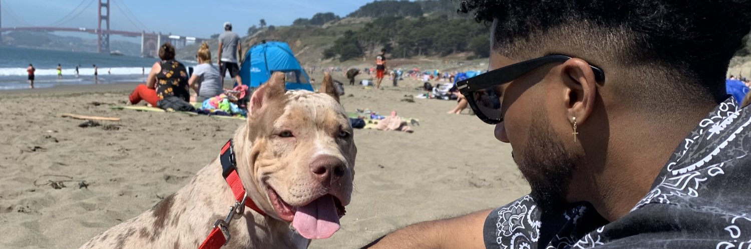 troubledboye's profile banner image