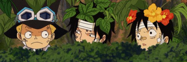 FrizCollects Profile Banner