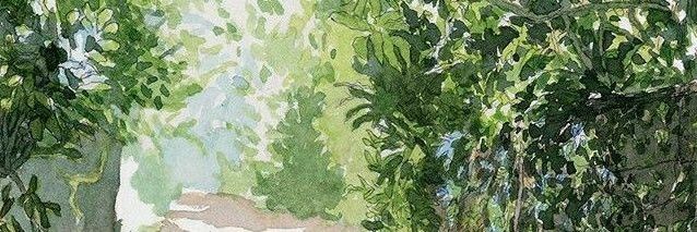 braiangonzalezs's profile banner image