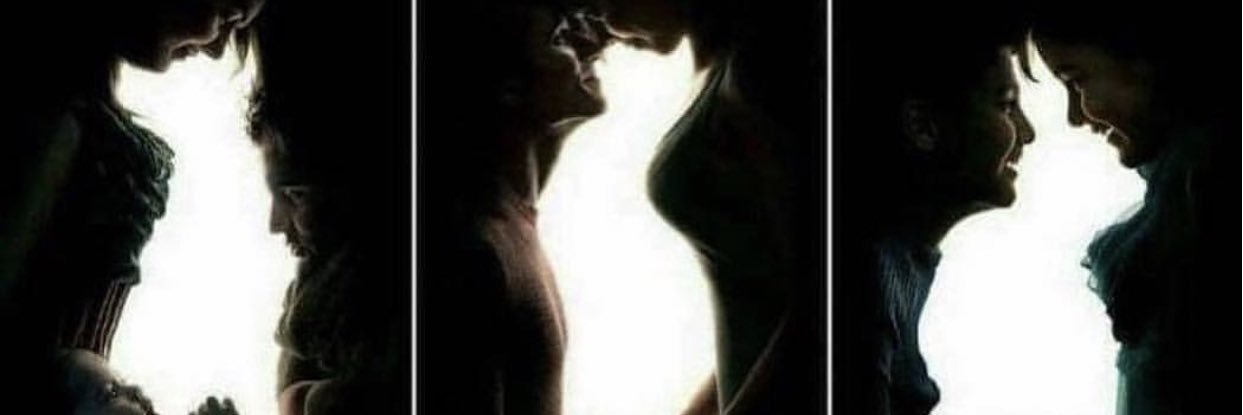 Dr. Rose Schnabel PhD banner