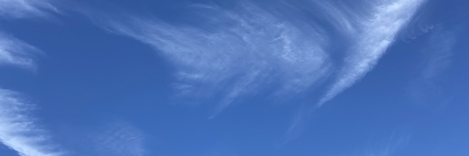 Gaylene Fehr🇨🇦🇸🇪🇺🇦🇬🇱 banner