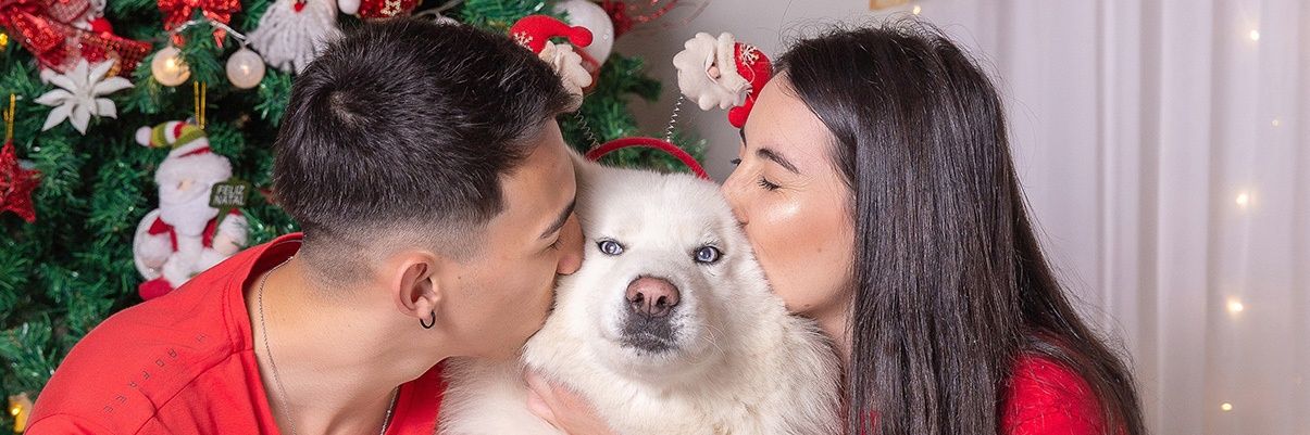 MSchelbauer29's profile banner image