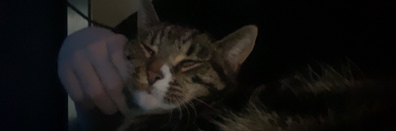 NyaAngell's profile banner image