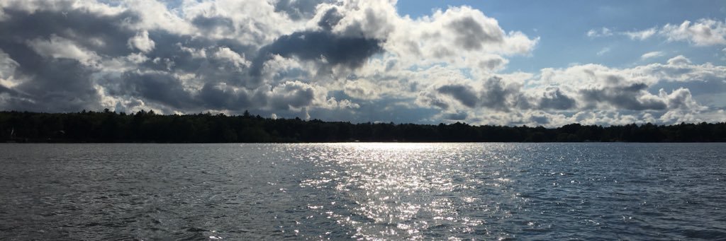 nsuchoski's profile banner image