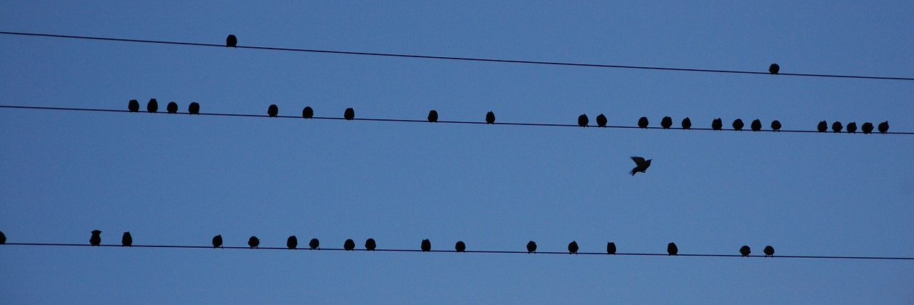 Lancard_Cable's profile banner image