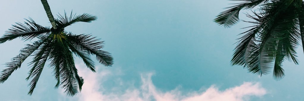 AlleCruzz's profile banner image
